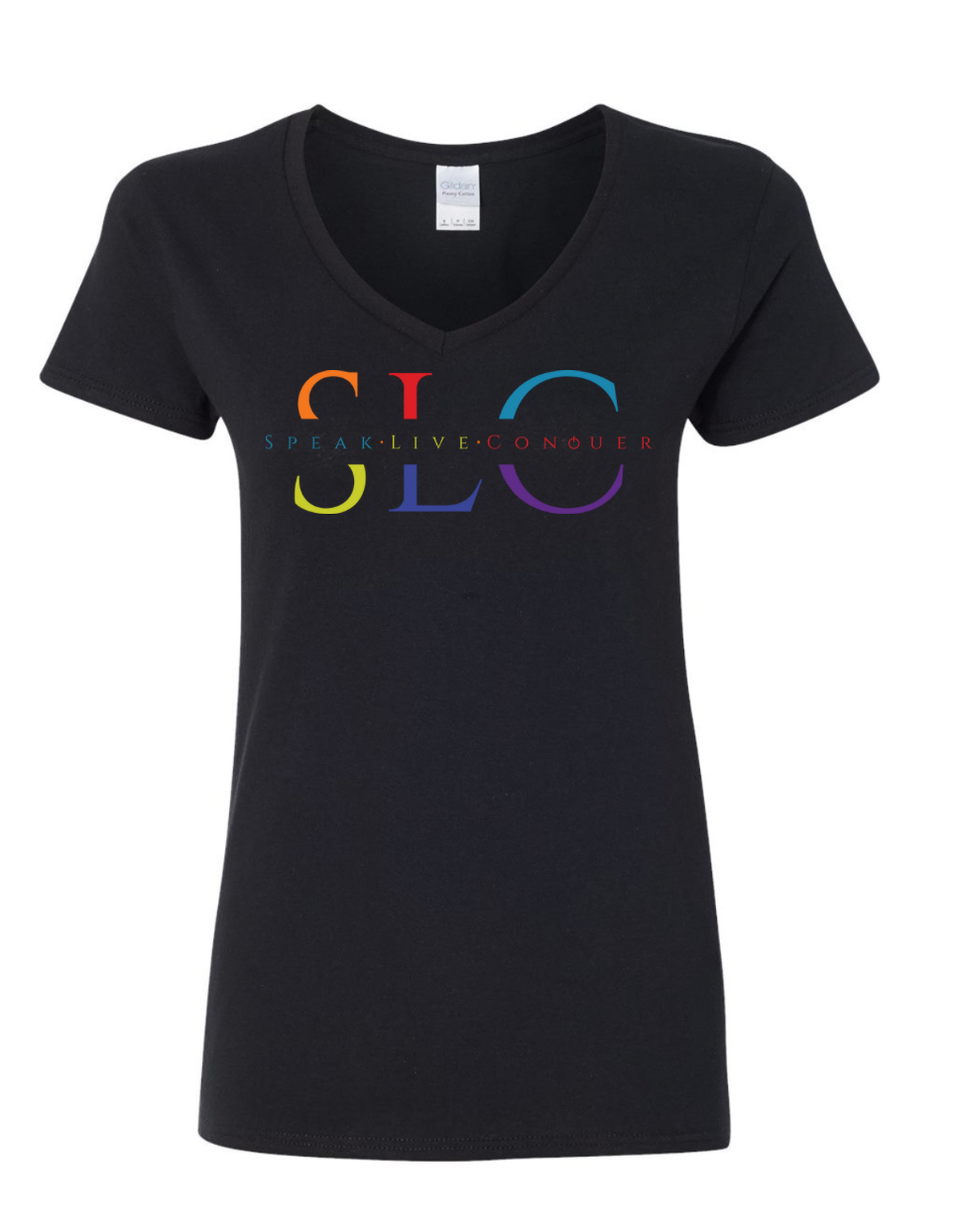 Women’s V-Neck                        The Lion of Kodesh